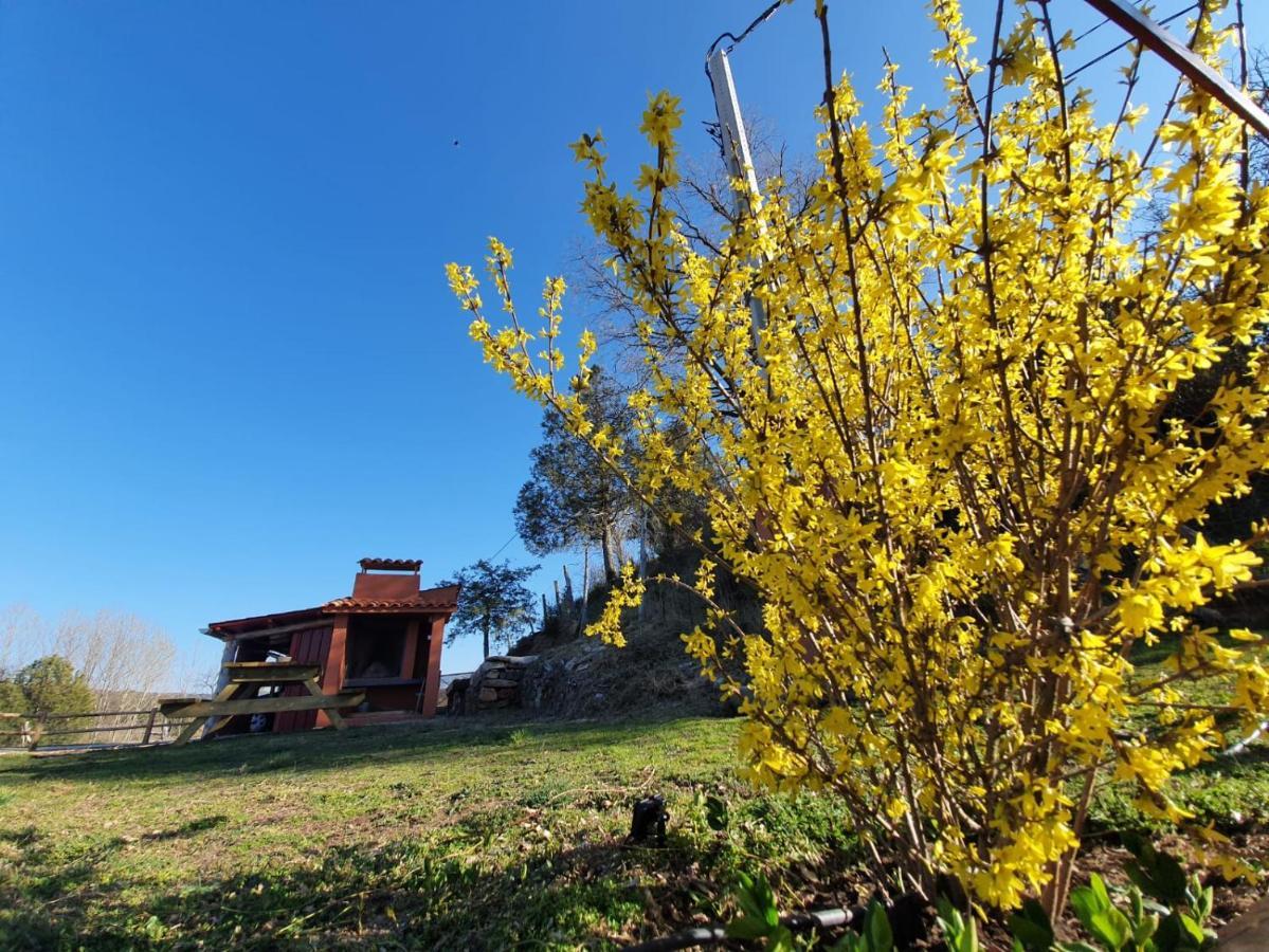 Casa Rural Manitoba Luxe Buenache de la Sierra Eksteriør bilde